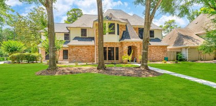 9503 Arcade Drive, Spring
