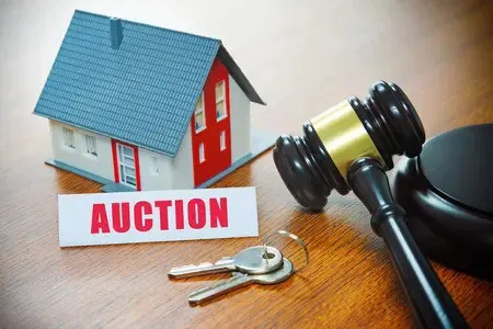 Real Estate Auctions