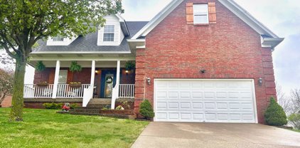 132 Blossom Cir, Shelbyville