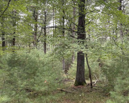10.419 Acres 48TH STREET SOUTH, Wisconsin Rapids