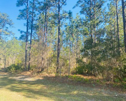 Sugar Maple Drive, Jesup