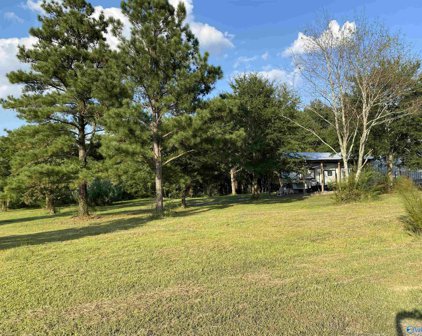 3568 Hopewell Road, Arab
