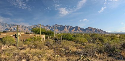 1906 W Mountain Mirage Unit #161, Oro Valley