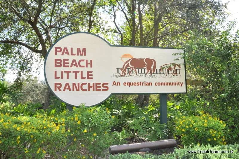 Palm Beach Little Ranches Wellington Homes For Sale