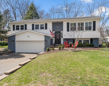 1421 Clyde Drive, Naperville