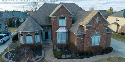54395 WHITE SPRUCE, Shelby Twp