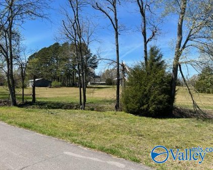 3 acres County Road 136, Town Creek