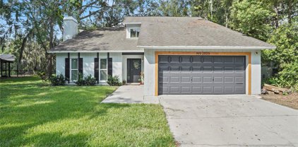 2025 Dockside Drive, Valrico