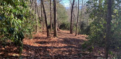 17A Hawkins Hollow  Road, Pisgah Forest