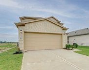 18315 Willow Bud Trail, Tomball image