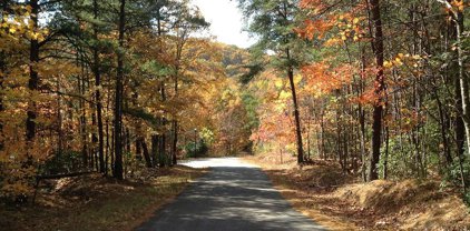 Lot 8 Laurel Hill, Landrum