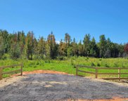 Bertha Cleveland Road, Bay Minette image