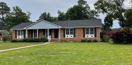 424 AUDUBON DRIVE, Albany