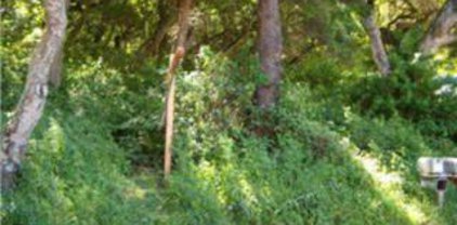 602 Maher RD, Royal Oaks