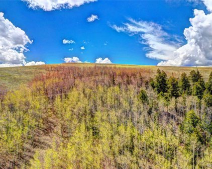 00 Jicarilla Trail, Hartsel