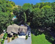 181 Harston Way, Scottsville image