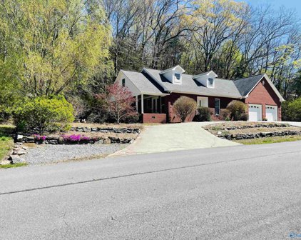 1428 Ringold Street, Guntersville