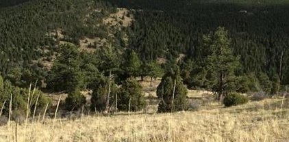 000 Wildlife Trail, Idaho Springs