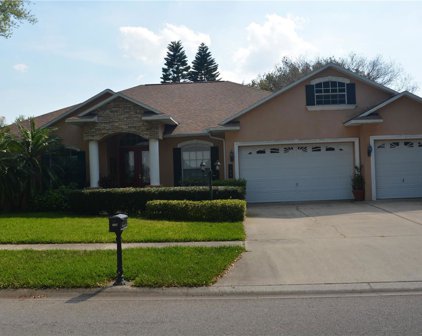 704 Citrus Wood Lane, Valrico