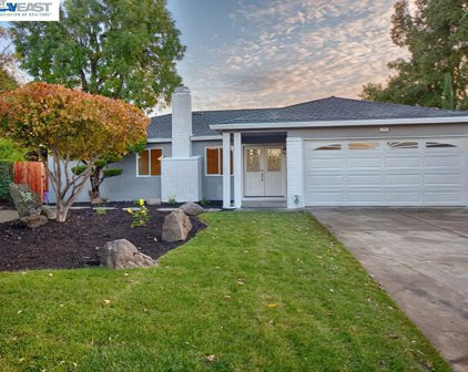 137 Avocado Ct, San Ramon