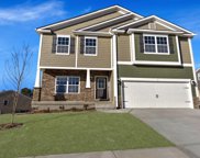 507 Pine Log Run, Chapin image