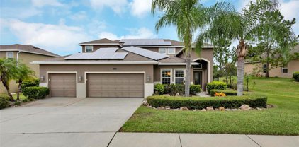 11748 Buttonhook Drive, Clermont