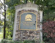 218 Chestnut Drive Unit 32, Helena image