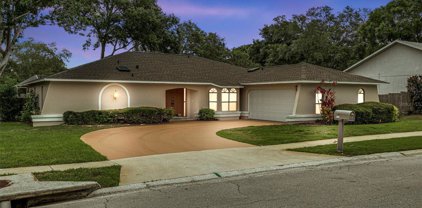 4956 Orange Grove Way, Palm Harbor