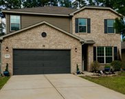 4311 S Amber Ruse Court, Conroe image