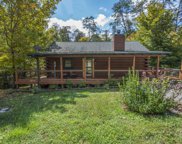 2246 French Broad River Rd, Seymour image