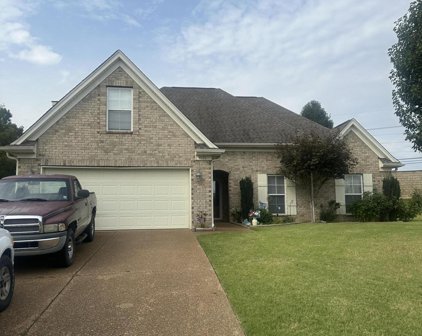 4131 Wildberry Drive Drive, Southaven