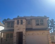 120 Pineview Cove Court, Montgomery image
