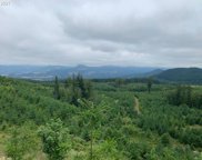 Rattlesnake RD, Creswell image