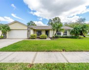 9801 Creek Cross Street, Tampa image
