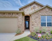 24202 Birchwood Creek Court, Spring image