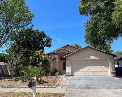 1745 Kettler Drive, Lutz