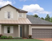 10660 Banyan Breeze Boulevard, Land O' Lakes image