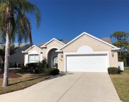 507 Wexford Drive, Venice image