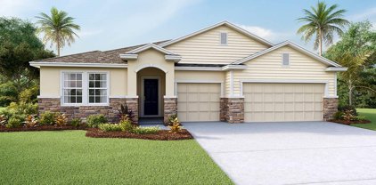 32166 Conchshell Sail Street, Wesley Chapel