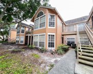696 Youngstown Parkway Unit 315, Altamonte Springs image