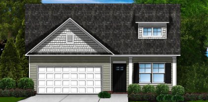 167 Strongridge Trail Unit Lot 189, Simpsonville