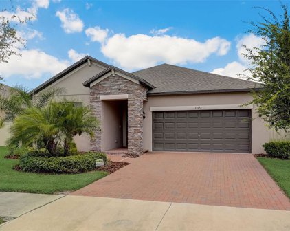 24952 Lambrusco Loop, Lutz