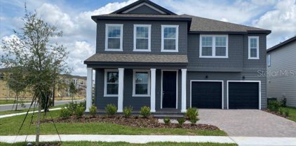 17605 Lake Star Road, Winter Garden