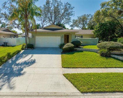 1707 Grand Central Drive, Tarpon Springs