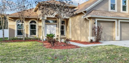 4304 Orange Ridge Court, Valrico