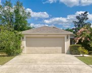 11237 Summer Star Drive, Riverview image