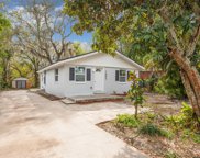 1803 E Skagway Ave, Tampa image