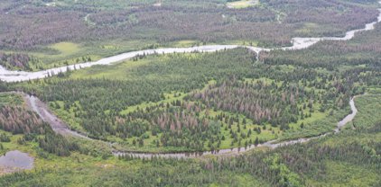 002 No Road, Eagle River