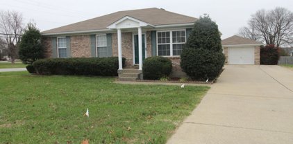 110 Frederick Ct, Mt Washington