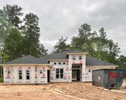 27671 Concho Drive, Splendora image